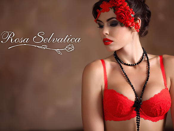 Новая поставка женского нижнего белья — кружевная коллекция Colette в ярко-красном цвете!