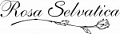 Логотип бренда Rosa Selvatica